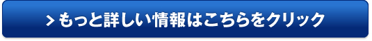 ２０２４卒向け障がい学生の就活応援サイト【Web-Sana2024】販売サイトへ